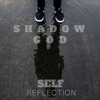 Self Reflection