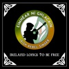 Highland Paddy (Live)