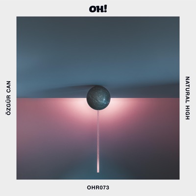 Natural High (Remixes) - Single