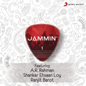 Yeh Haseen Vadiyan Yeh Khula Aasman (Jammin')