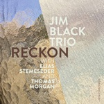 Jim Black Trio - Tripped Overhue