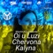 Oi u Luzi Chervona Kalyna - Martin KO lyrics