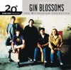 Gin Blossoms