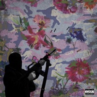 Camouflage Giants - Miskeen Haleem