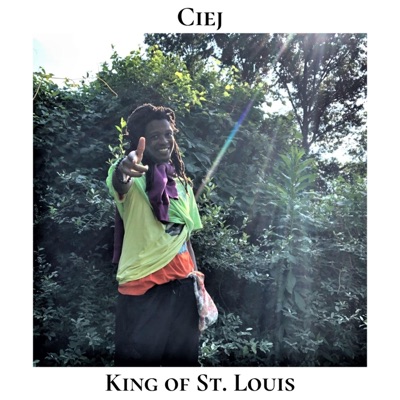 King of St. Louis - Single