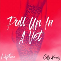 Pull Up in a Vet (feat. Cellis.Knows) - Single - Neptune