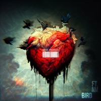 Amor Próprio (feat. NM) - Single - Bird