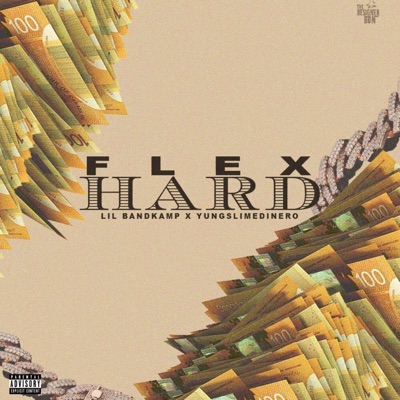 Flex Hard (feat. Lil Bandkamp) - Single
