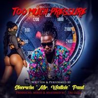 Too Much Pressure (feat. Mr. Walkie) - Single - Tre Otto