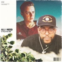 All I Need (feat. GeeSlab) - Single - Ty Ferg