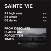 From Desolate Places and Forgotten Times - Single