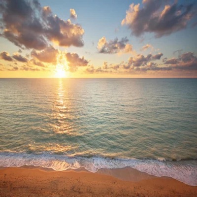 VIVE LA VIDA - Single