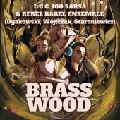 Brasswood (feat. Przemek Dyakowski, Irek Wojtczak & Wojciech Staroniewicz) artwork
