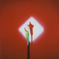 Insane and Out - EP - Kvsh