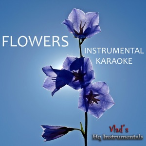 Flowers (Originally Performed by Miley Cyrus) [Instrumental Karaoke]