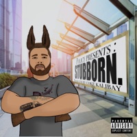 Stubborn - Single - PXLICY