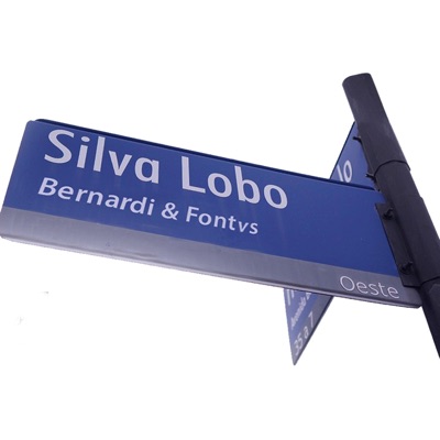 Silva Lobo (feat. Bernardi & Fontvs) - Single