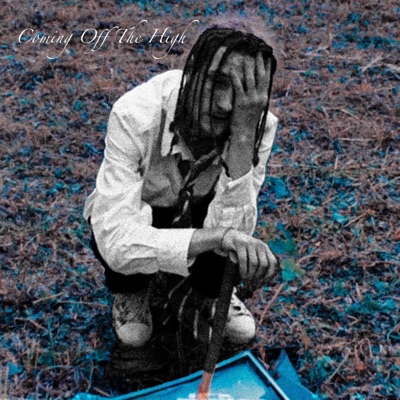 Coming Off the High - Single