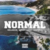 Normal - Single