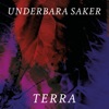 Underbara saker kommer hända oss by Terra  iTunes Track 1