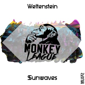 Sungrooves - Single