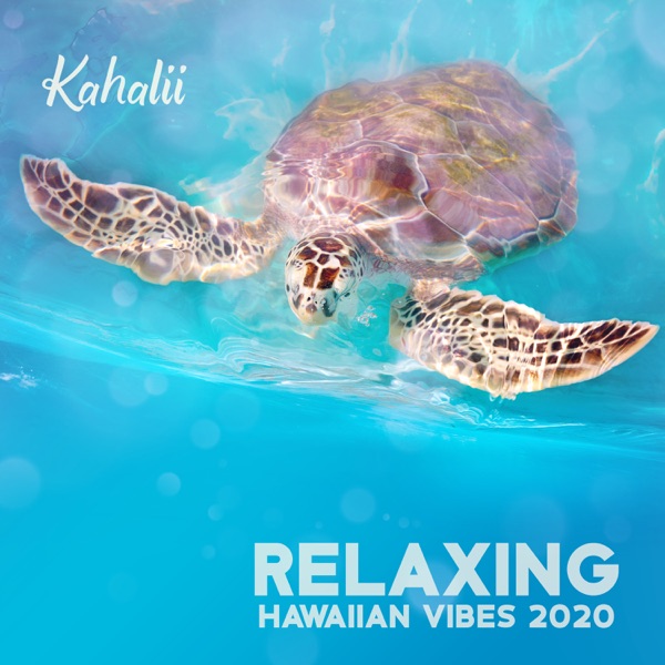 Relaxing Hawaiian Vibes 2020
