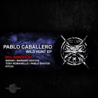Wild Hunt - Pablo Caballero