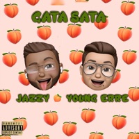 Gata Sata (feat. Jazzluv) - Single - Young Erre