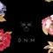 New Encounter - D.N.M lyrics