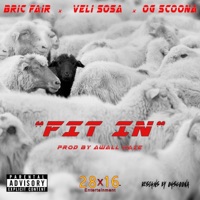Fit in (feat. Veli Sosa & OG Scoona) - Single - Bric Fair