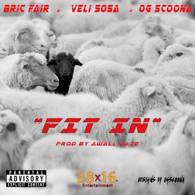 Fit in (feat. Veli Sosa & OG Scoona) - Single