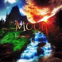 Mood (Instrumental) - Single - Lance Winfindale