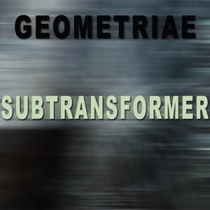 Subtransformer - Single