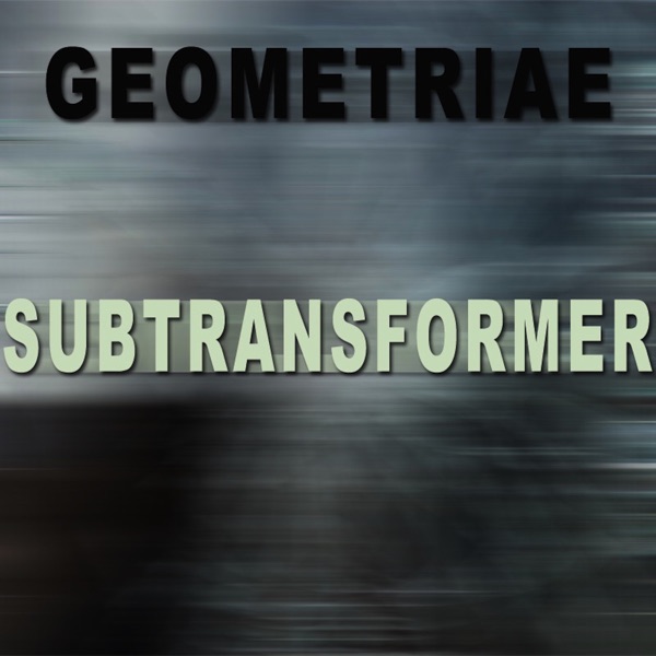 Subtransformer - Single