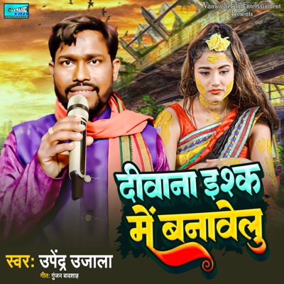 Deewana Ishq Me Tu Banawelu - Single