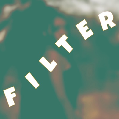 Filter - Single