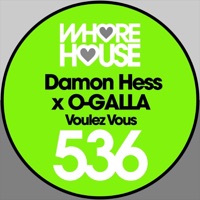 Voulez Vous - Single - Damon Hess & O-GALLA