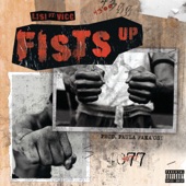 Fists Up (feat. Vicc) artwork