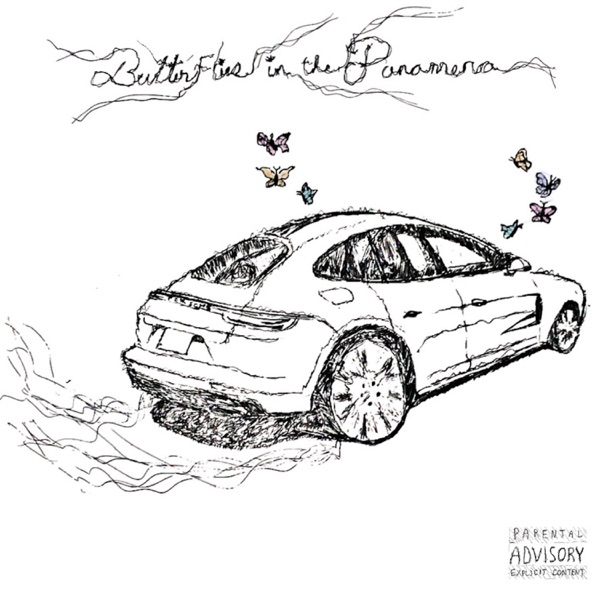 Butterflies in a Panamera