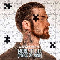More to Life (Peace of Mind) - Single - Stife & J. Morgan