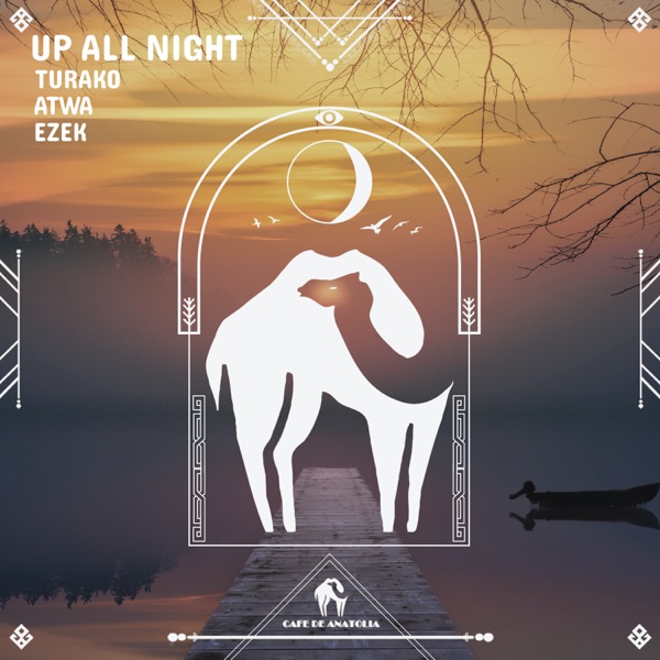 Up All Night - Single