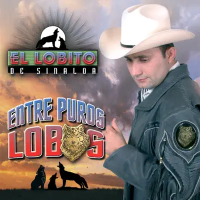 Entre Puros Lobos - El Lobito de Sinaloa Entre Puros Lobos - El Lobito de Sinaloa