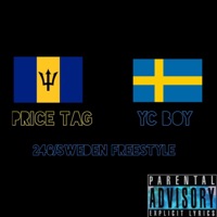 246/Sweden Freestyle (feat. YC BOY) - Single - Price Tag