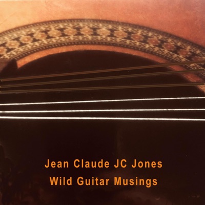 Wild Guitar Musings