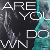 Are You Down artwork