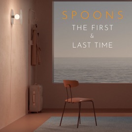The First Last Time Edit Single By Spoons