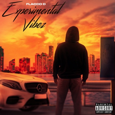 Experimental Vibez - EP