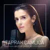 Yaprak Çamlıca - Gurur (Akustik)