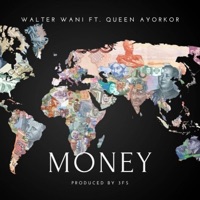 Money (feat. Queen Ayorkor) - Single - Walter Wani