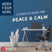Clarinet Concerto, K. 622: II. Adagio